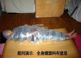 丁振芳老人被辽宁监狱迫害致皮包骨