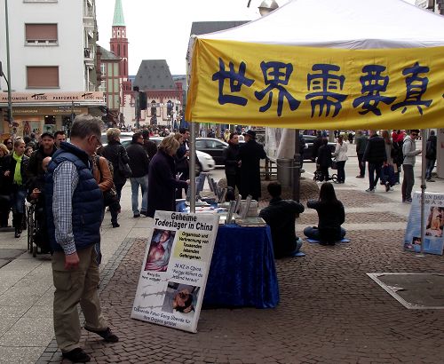 遊人认真观看展板上中共迫害法轮功学员的真相